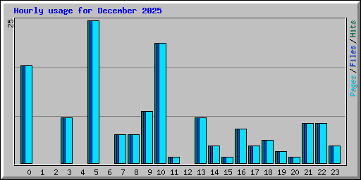 Hourly usage for December 2025