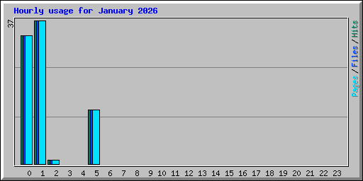 Hourly usage for January 2026